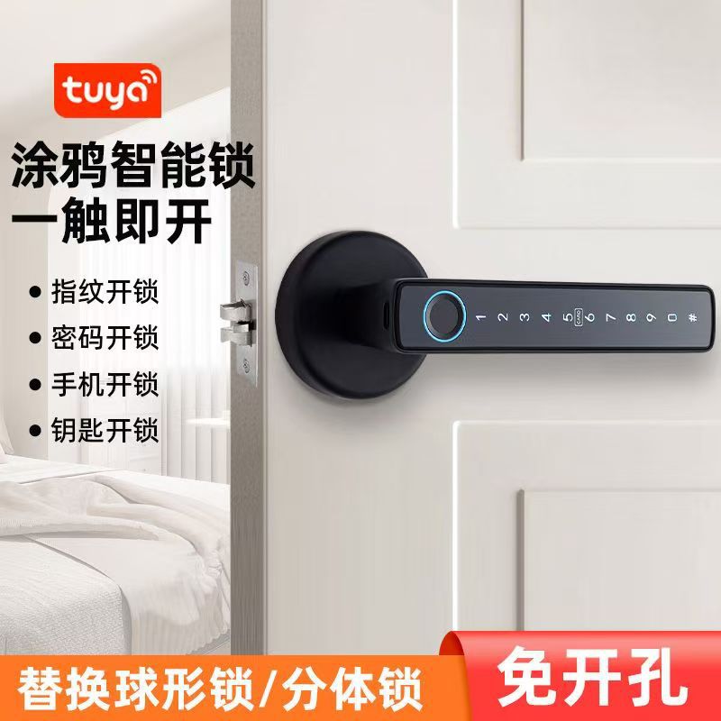 涂鸦生态智能门锁 木门指纹锁 蓝牙密码锁 跨境专供