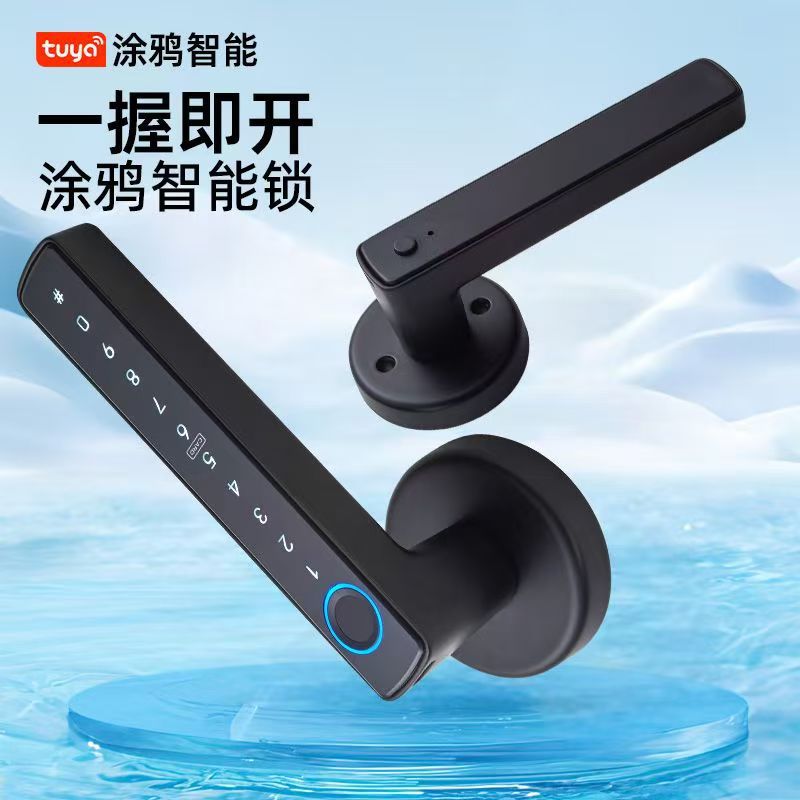 涂鸦生态智能门锁 木门指纹锁 蓝牙密码锁 跨境专供
