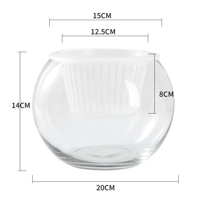 Self Watering Glass Planter Vase