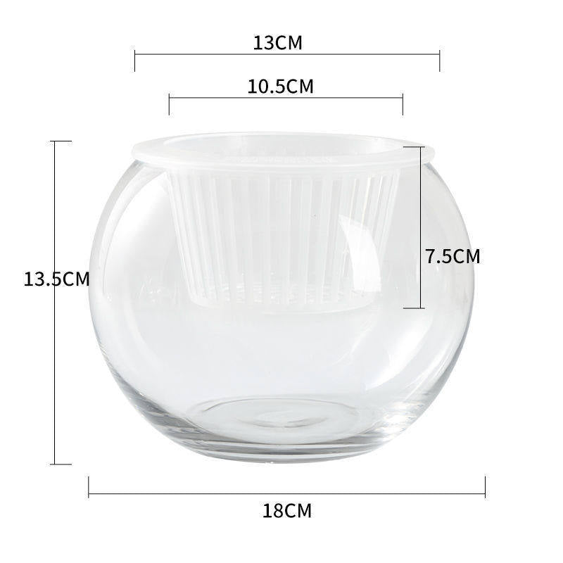 Self Watering Glass Planter Vase